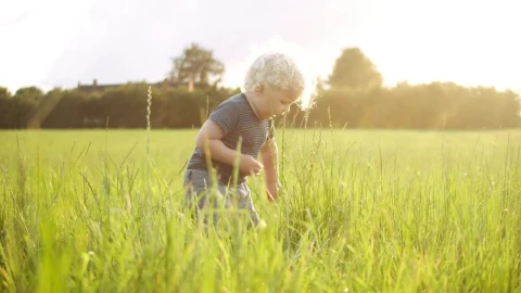 Free Video Stock toddler picking grass Live Wallpaper - Free Live Wallpaper