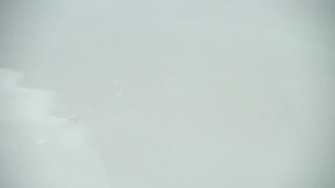 Free Video Stock tomato falling into clear water Live Wallpaper - Free Live Wallpaper