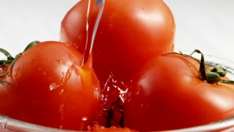 Free Video Stock tomatoes being washed Live Wallpaper - Free Live Wallpaper