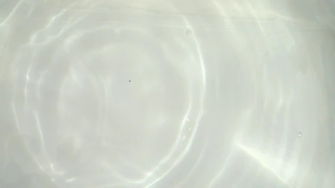 Free Video Stock tomatoes falling into a washing bowl Live Wallpaper - Free Live Wallpaper