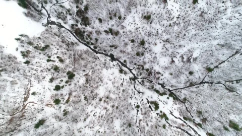 Free Video Stock top aerial shot over a frozen stream in a forest Live Wallpaper - Free Live Wallpaper
