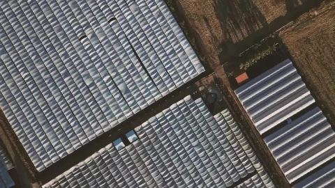 Free Video Stock top aerial view of a lot of greenhouses Live Wallpaper - Free Live Wallpaper