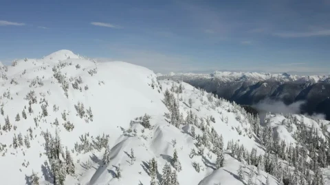 Free Video Stock top of a hill covered with snow and pines Live Wallpaper - Free Live Wallpaper