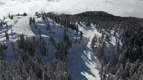 Free Video Stock top of a snow capped mountain Live Wallpaper - Free Live Wallpaper