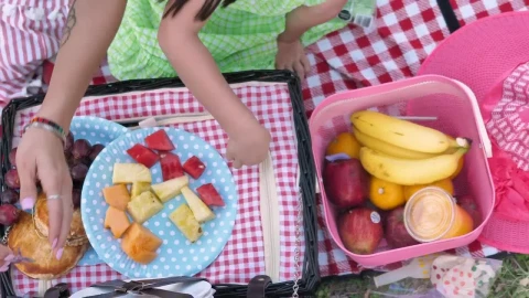 Free Video Stock top shot of a picnic in the park Live Wallpaper - Free Live Wallpaper