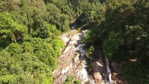 Free Video Stock top view of a waterfall in a jungle Live Wallpaper - Free Live Wallpaper