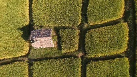 Free Video Stock top zoom out aerial shot in the countryside Live Wallpaper - Free Live Wallpaper