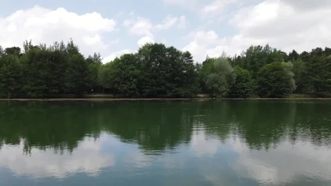 Free Video Stock touring a lake in the middle of a pine forest Live Wallpaper - Free Live Wallpaper