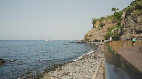 Free Video Stock tourist boardwalk Live Wallpaper - Free Live Wallpaper