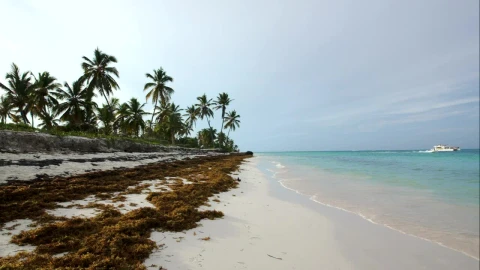 Free Video Stock tourist boat heading by an island Live Wallpaper - Free Live Wallpaper