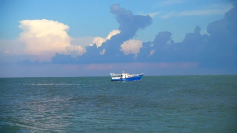 Free Video Stock tourist boat off the coast Live Wallpaper - Free Live Wallpaper