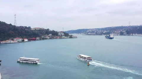 Free Video Stock tourist boats heading towards land Live Wallpaper - Free Live Wallpaper