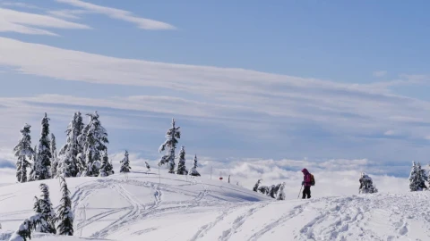 Free Video Stock tourist on top of a snowy mountain Live Wallpaper - Free Live Wallpaper