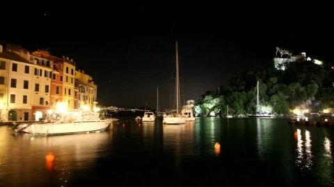 Free Video Stock tourist port in france at night Live Wallpaper - Free Live Wallpaper