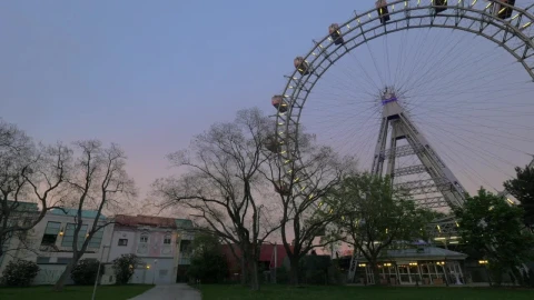 Free Video Stock tourist ride in vienna Live Wallpaper - Free Live Wallpaper