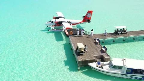 Free Video Stock tourists getting off a water plane on a pier Live Wallpaper - Free Live Wallpaper