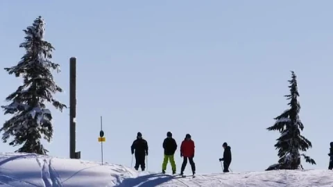 Free Video Stock tourists skiing on a snowy slope in canada Live Wallpaper - Free Live Wallpaper