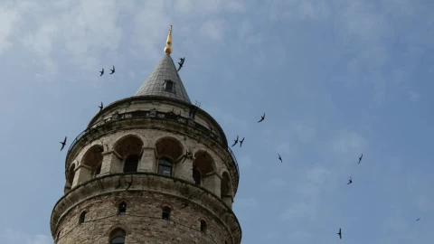 Free Video Stock tower and birds time lapse Live Wallpaper - Free Live Wallpaper