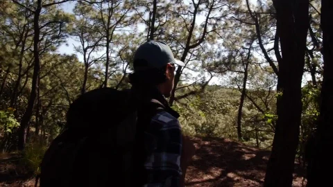 Free Video Stock tracking a man through the forest Live Wallpaper - Free Live Wallpaper