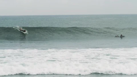Free Video Stock tracking shot of a person surfing waves Live Wallpaper - Free Live Wallpaper