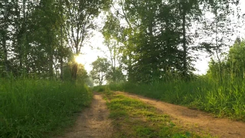 Free Video Stock tracks down a country lane Live Wallpaper - Free Live Wallpaper