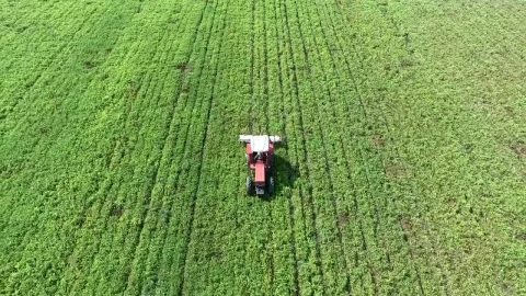 Free Video Stock tractor crosses a green field Live Wallpaper - Free Live Wallpaper