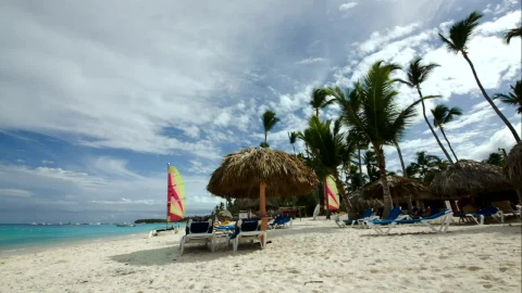 Free Video Stock tractor driving down a tropical beach Live Wallpaper - Free Live Wallpaper