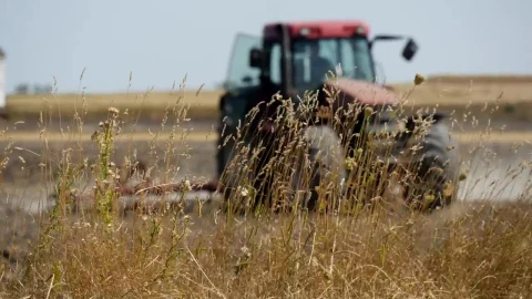 Free Video Stock tractor driving in the field Live Wallpaper - Free Live Wallpaper