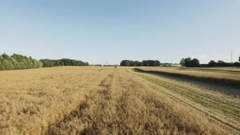 Free Video Stock tractor harvesting crops Live Wallpaper - Free Live Wallpaper