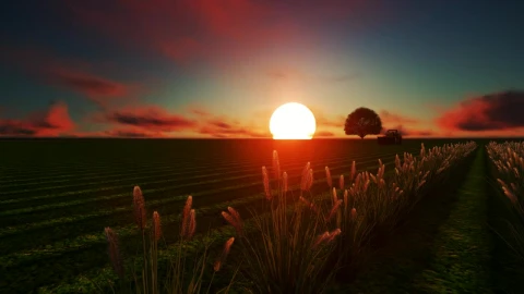 Free Video Stock tractor in a wheat field at sunset done in cgi Live Wallpaper - Free Live Wallpaper