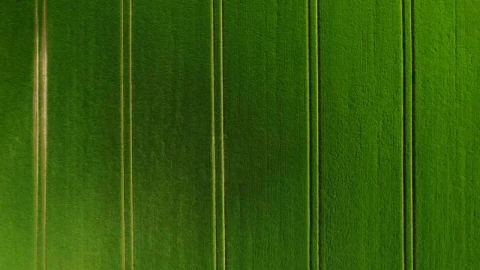 Free Video Stock tractor lanes in a green field Live Wallpaper - Free Live Wallpaper