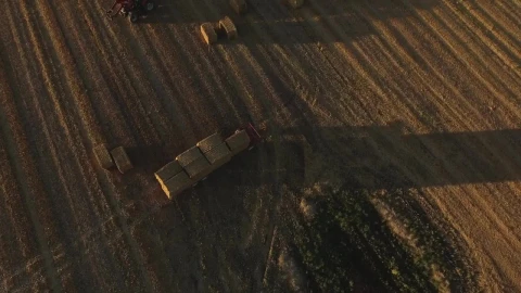 Free Video Stock tractor loading hay bales Live Wallpaper - Free Live Wallpaper