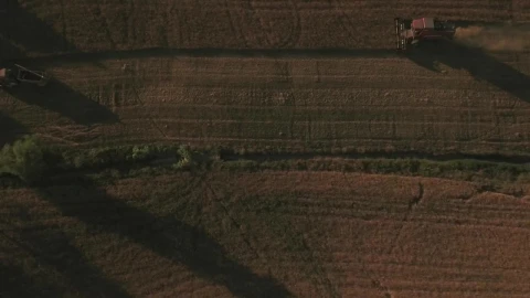 Free Video Stock tractor working a field Live Wallpaper - Free Live Wallpaper