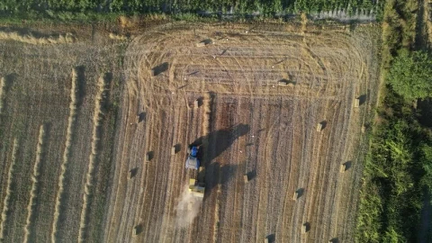 Free Video Stock tractor working in a field seen from above Live Wallpaper - Free Live Wallpaper