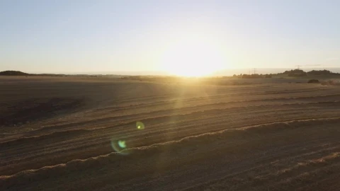 Free Video Stock tractor working on a field Live Wallpaper - Free Live Wallpaper