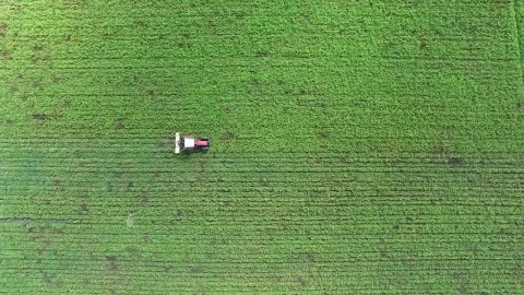 Free Video Stock tractor working on a green agricultural field Live Wallpaper - Free Live Wallpaper
