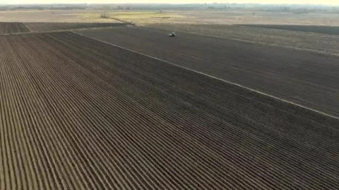 Free Video Stock tractor working on a large agricultural field Live Wallpaper - Free Live Wallpaper