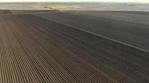 Free Video Stock tractor working on a large agricultural field  largeLive Wallpaper - Free Live Wallpaper