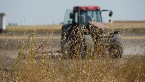 Free Video Stock tractor working on the agricultural field Live Wallpaper - Free Live Wallpaper