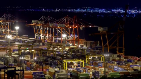 Free Video Stock trading port terminal in tokyo Live Wallpaper - Free Live Wallpaper