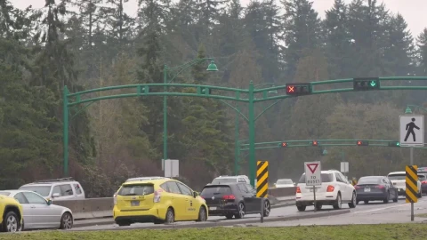 Free Video Stock traffic jam on a highway in a pine forest Live Wallpaper - Free Live Wallpaper
