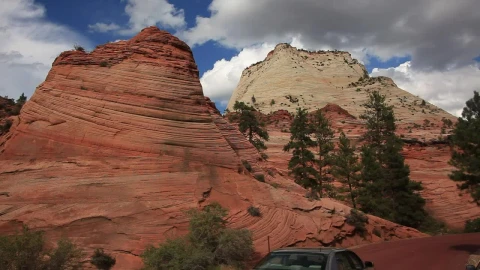 Free Video Stock traffic through a national park Live Wallpaper - Free Live Wallpaper