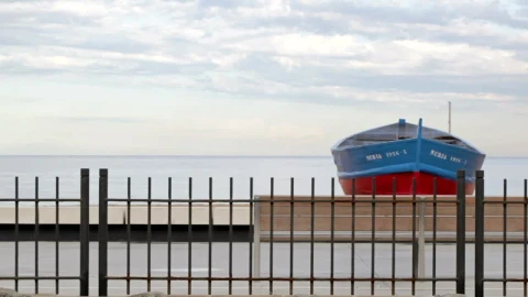 Free Video Stock train passing by the beach Live Wallpaper - Free Live Wallpaper