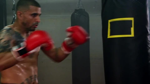 Free Video Stock training for a fight Live Wallpaper - Free Live Wallpaper