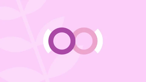 Free Stock Video Wedding Location Intro Live Wallpaper - Free Live Wallpaper