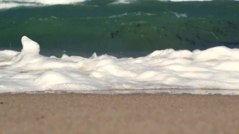 Free Stock Video Waves And Seaweed Washing Ashore Live Wallpaper - Free Live Wallpaper