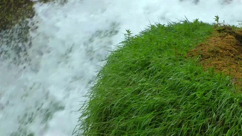 Free Stock Video Waterfall Seen Closely Static Shot Live Wallpaper - Free Live Wallpaper