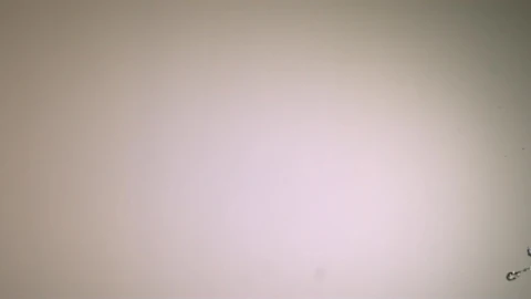 Free Stock Video Water Splash In Slow Motion On A White Background Live Wallpaper - Free Live Wallpaper
