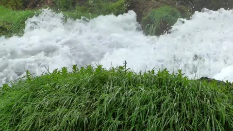 Free Stock Video Water From A River Advancing With Pressure Live Wallpaper - Free Live Wallpaper