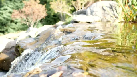 Free Stock Video Water Flowing Down The Rocks Of A River In Nature Live Wallpaper - Free Live Wallpaper